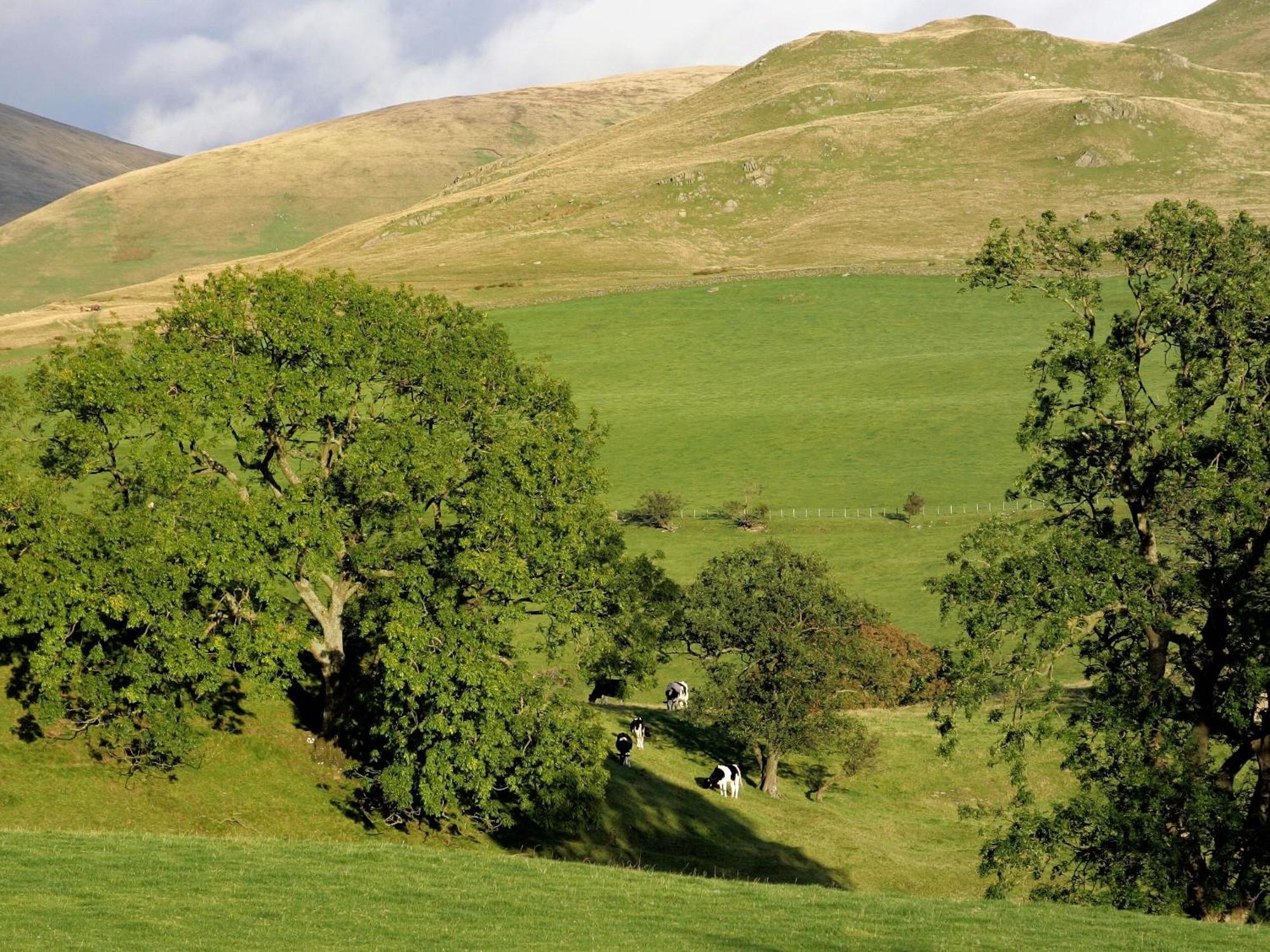 Gateside Farmhouse Sedbergh Exteriör bild